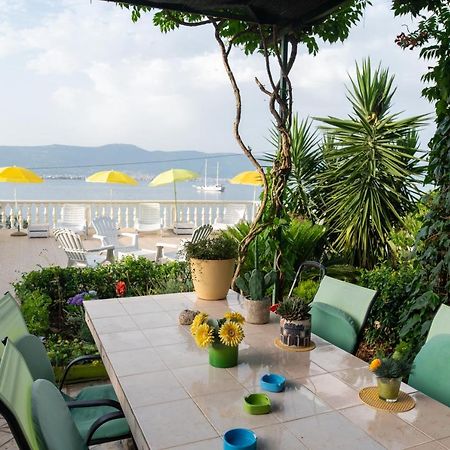 Villa Fjaba - By The Sea - With The Big Terraces & Great Sea View 特罗吉尔 外观 照片
