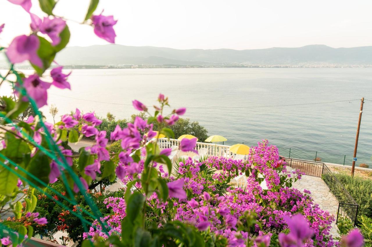 Villa Fjaba - By The Sea - With The Big Terraces & Great Sea View 特罗吉尔 外观 照片