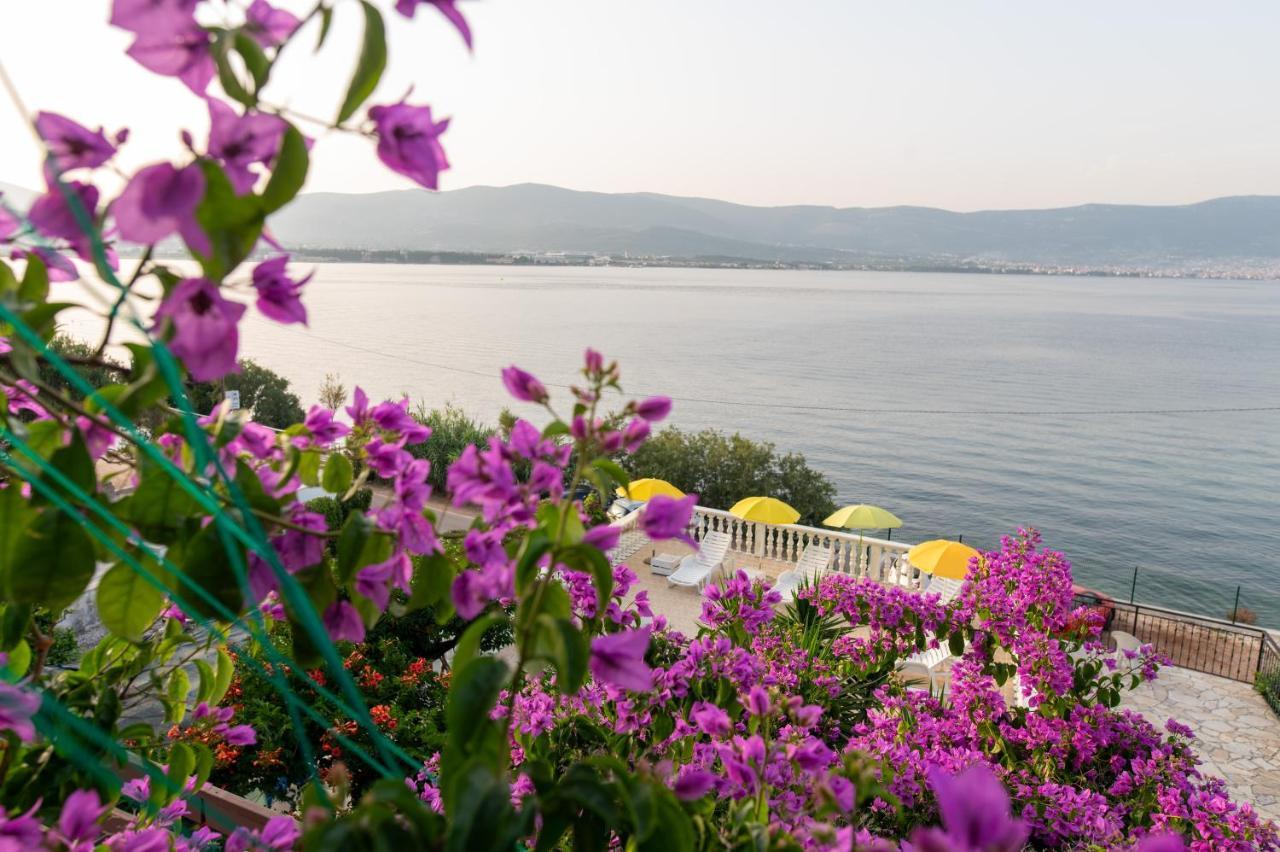 Villa Fjaba - By The Sea - With The Big Terraces & Great Sea View 特罗吉尔 外观 照片