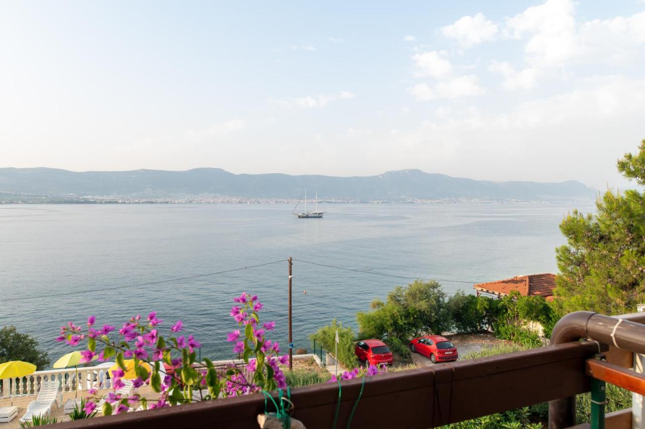 Villa Fjaba - By The Sea - With The Big Terraces & Great Sea View 特罗吉尔 外观 照片